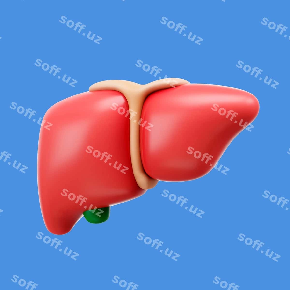 3d renderlangan inson tanasi ikonasi | 3d rendering human body icon 1