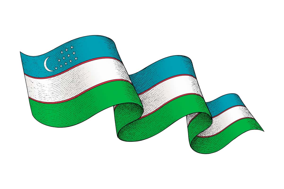 Oʻzbekiston bayrogʻi toʻlqinsimon lenta shaklidagi tekstura oʻyilgan | Uzbekistan flag with wavy ribbon shape engraved texture 1