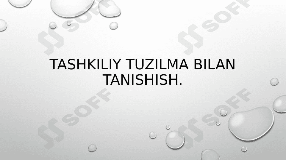 Tashkiliy tuzilma bilan tanishish. 1
