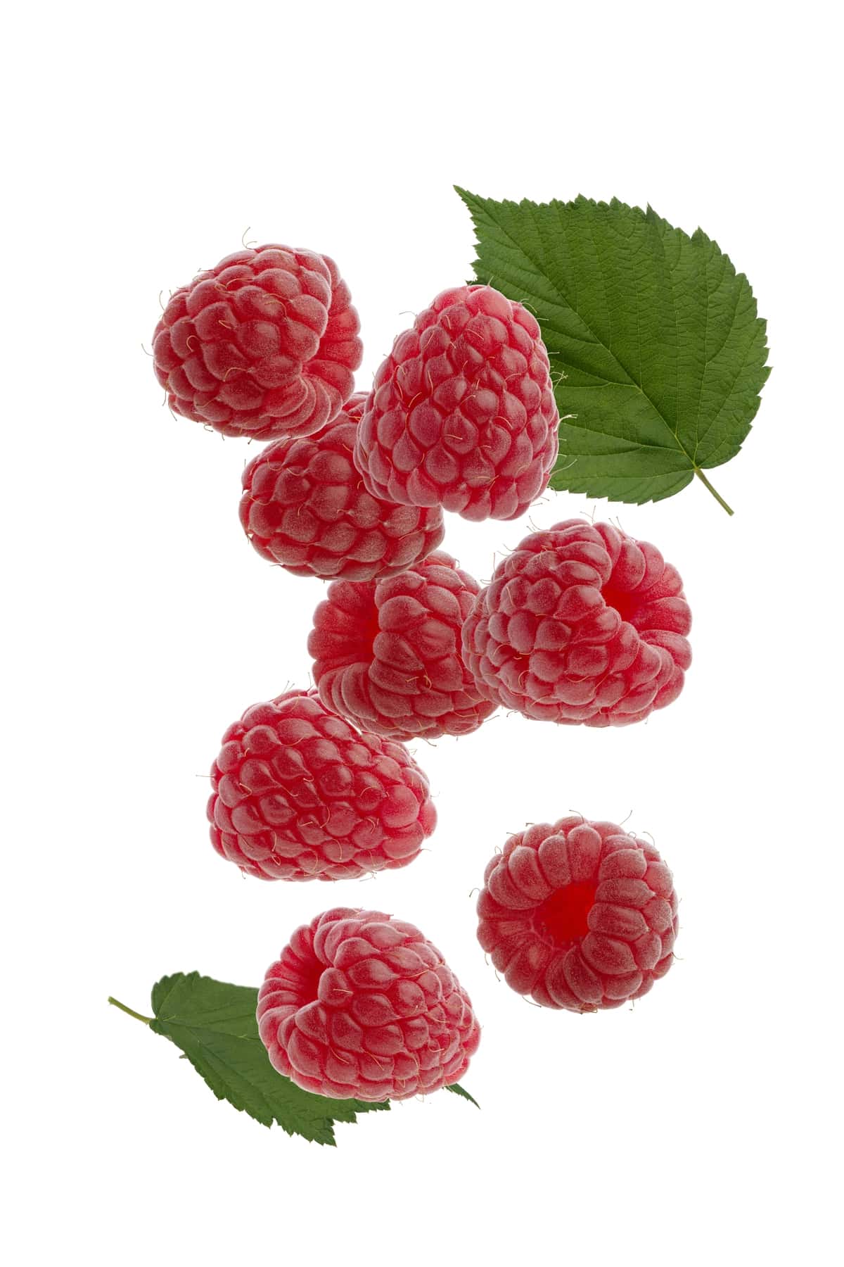Pishgan qizil malina mevalari, oq rangli izolyatsiyalangan fon | Berries ripe red raspberries white isolated background 1
