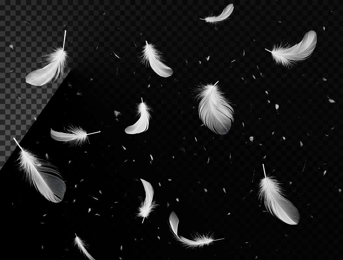 Havoda shaffof qoplama effekti bilan suzuvchi ko'plab oq patlar | Many white feathers floating air transparent overlay effect 1