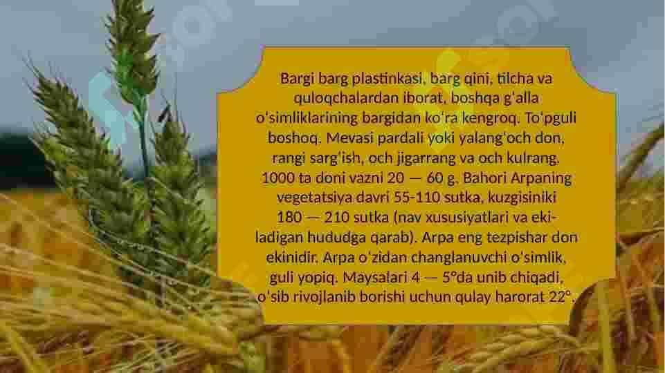 Arpa marfalogyasi 4