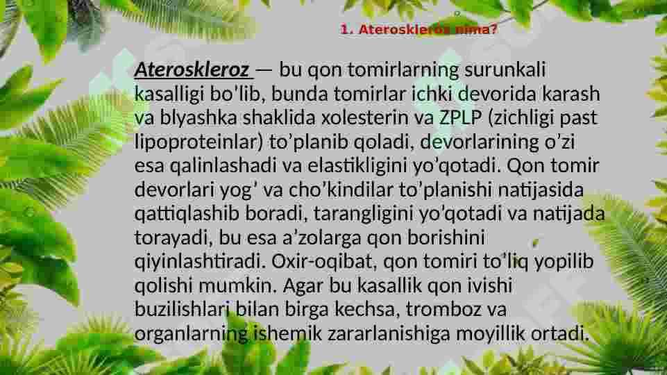 ATEROSKLEROZ 4