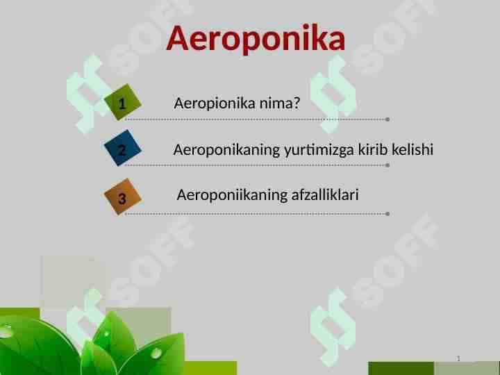Aeroponika