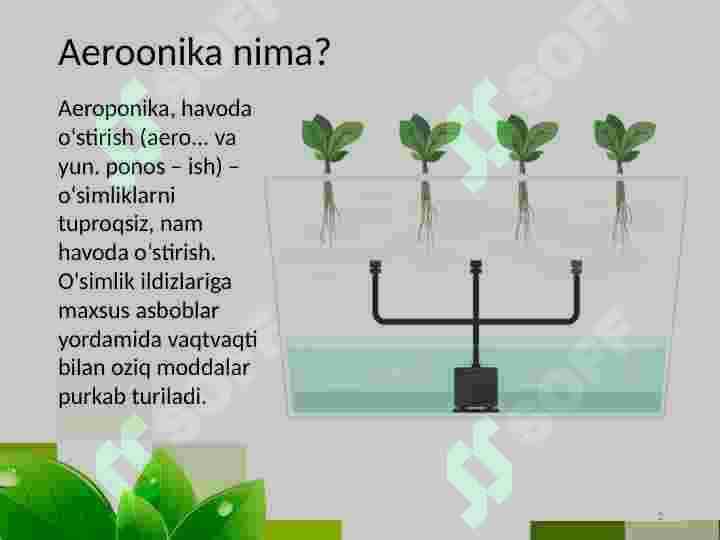 Aeroponika 2