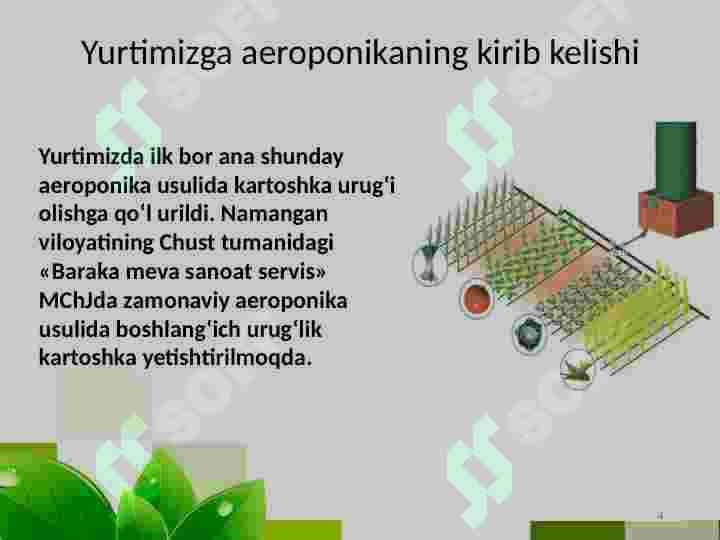 Aeroponika 4