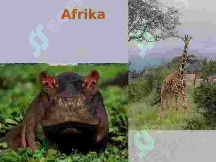 Afrika tabiati 5