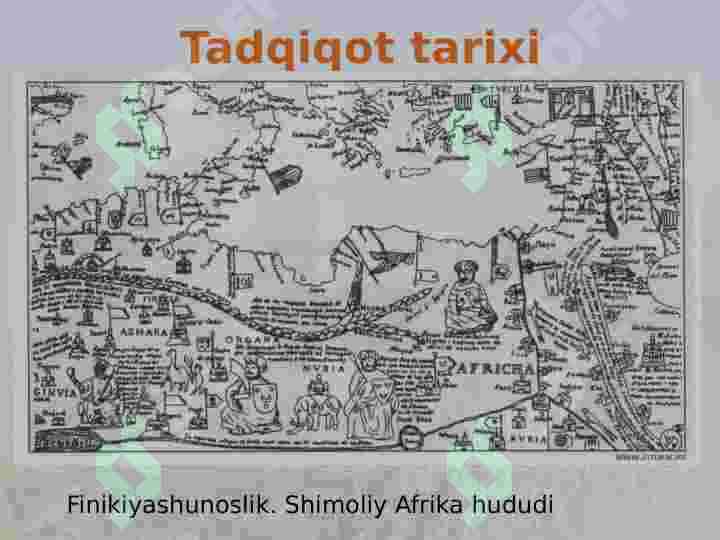 Afrika tabiati 8