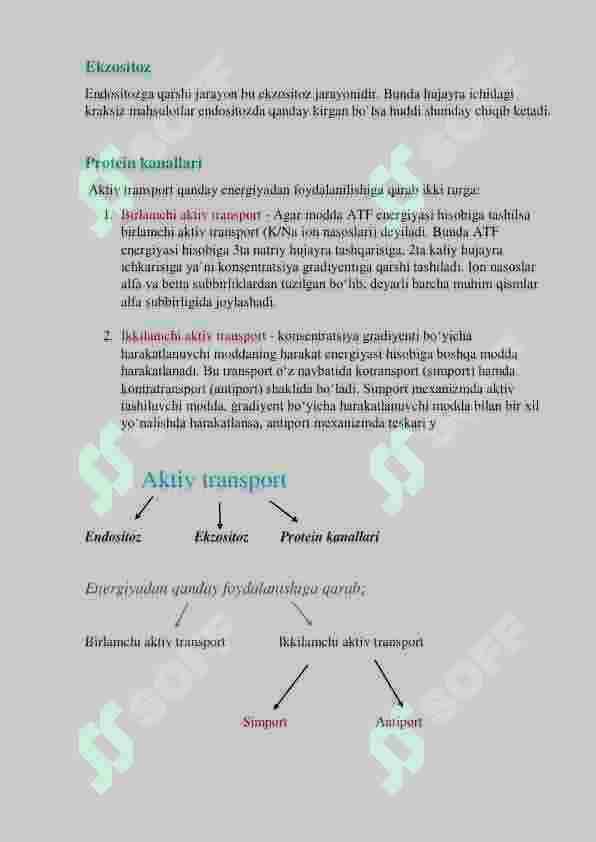 Aktiv va passiv transport 2
