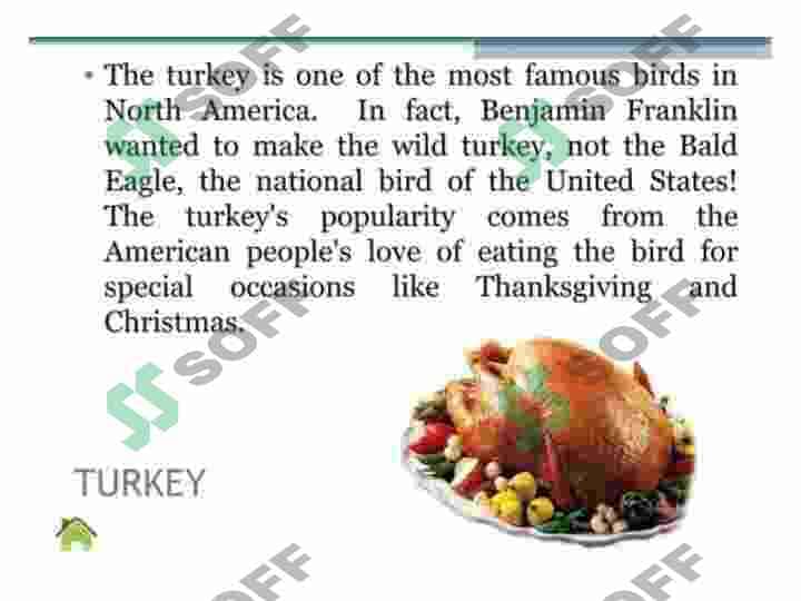American Food 2