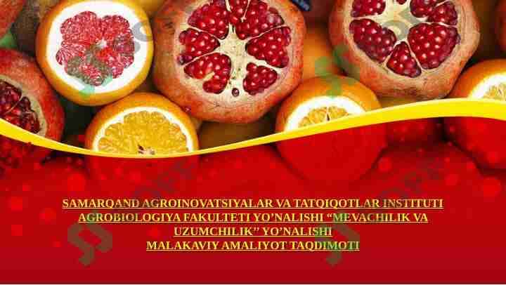 Anor