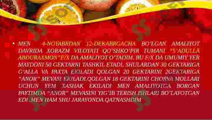 Anor 2