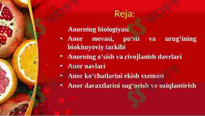 Anor 3