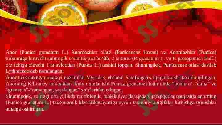 Anor 4