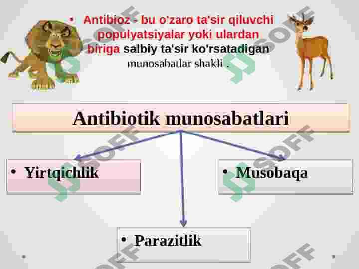 Antibiotik munosabatlari 2