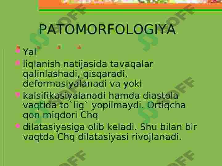 Aorta yetishmovchiligi 5