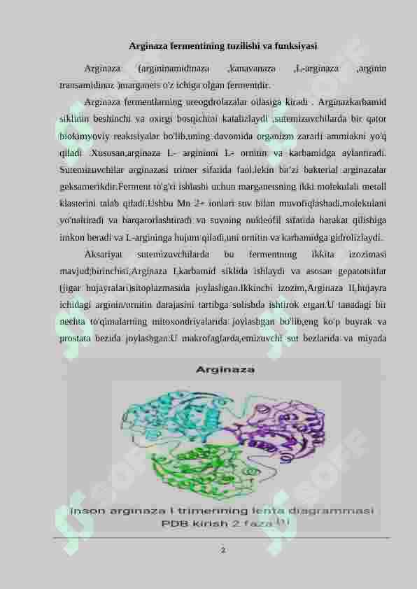 Arginaza fermentining tibbiyotdagi ahamiyati 2