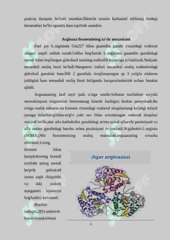 Arginaza fermentining tibbiyotdagi ahamiyati 3