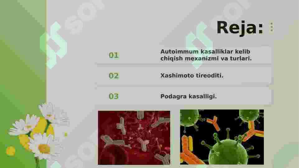 Autoimmum kasalliklari 2