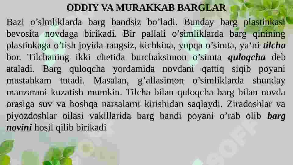 BARGNING VAZIFASI, TUZILISHI, TIPLARI 7