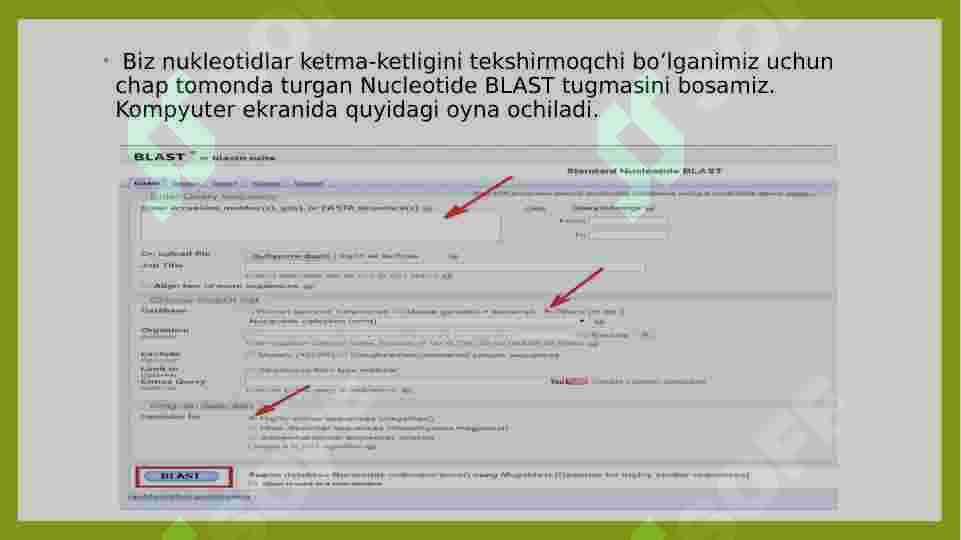 Primer BLAST da ishlash ketma ketligi 4
