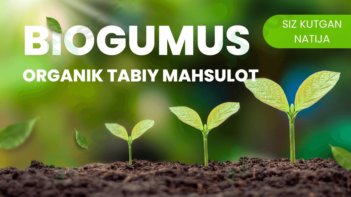 Biogumus 1