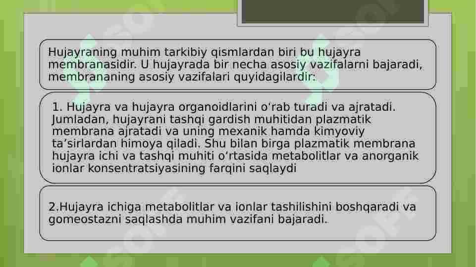 Biologik membranalarning tuzilishi va funksiyalari 7