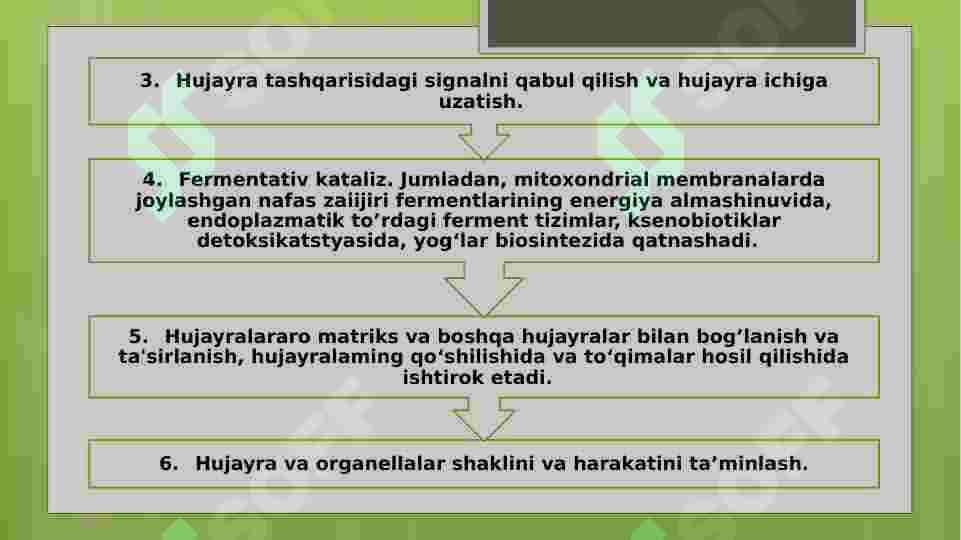 Biologik membranalarning tuzilishi va funksiyalari 8