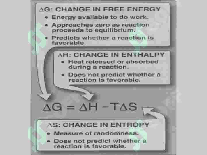 Biologik oksidlanish 5