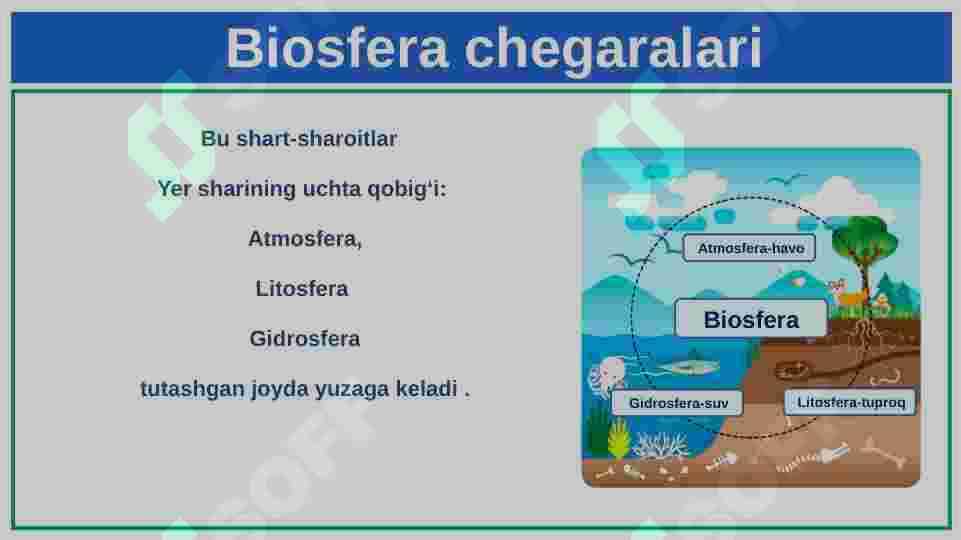 Biosferaning tarkibi 4
