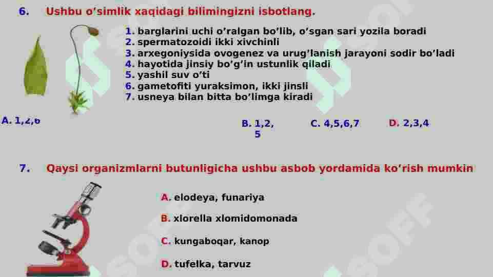 botanika test 8