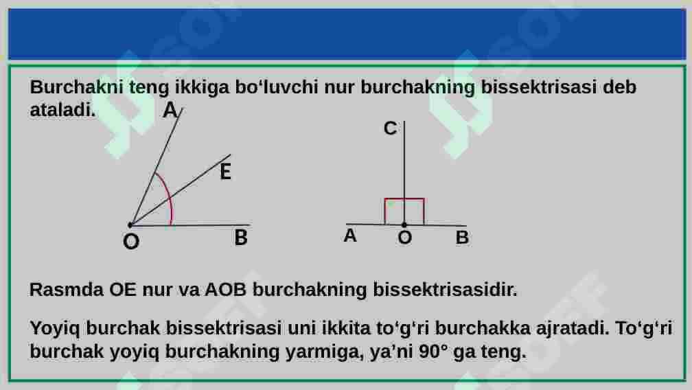 BURCHAK BISSEKTRISASI 2