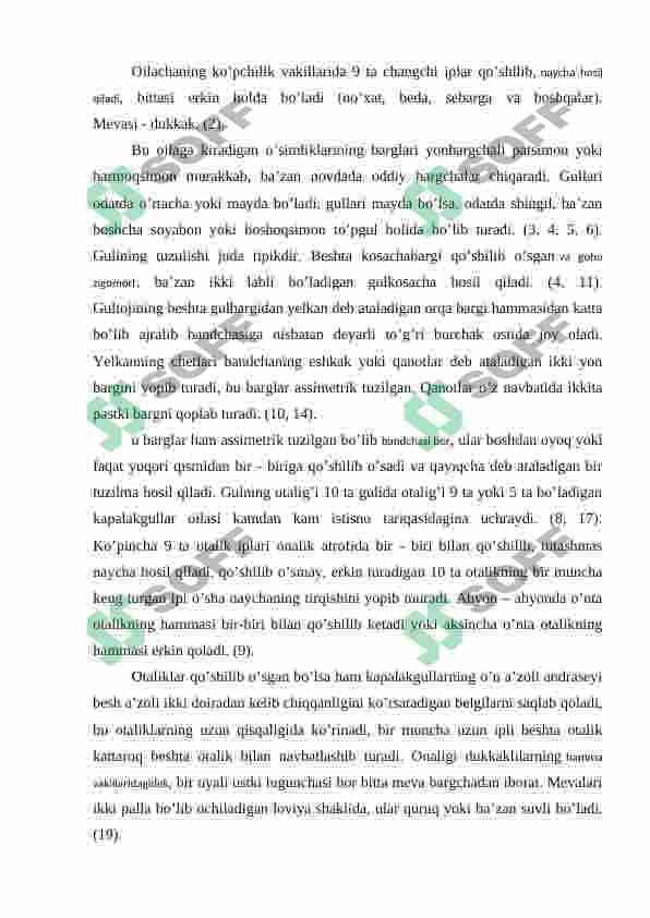 Burchoqdoshlar oilasi 6