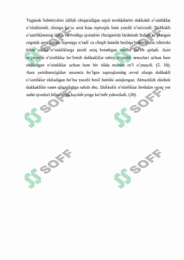 Burchoqdoshlar oilasi 7