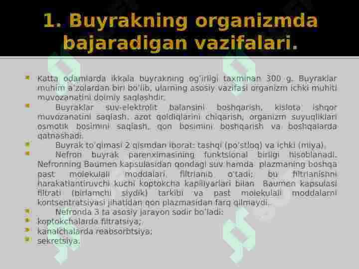 Buyrak biokimyosi 3