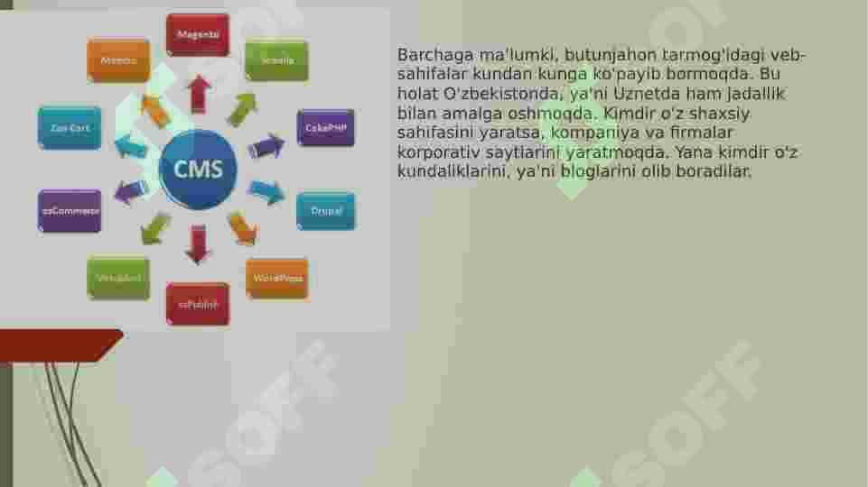 CMS PLATFORMALARI 2