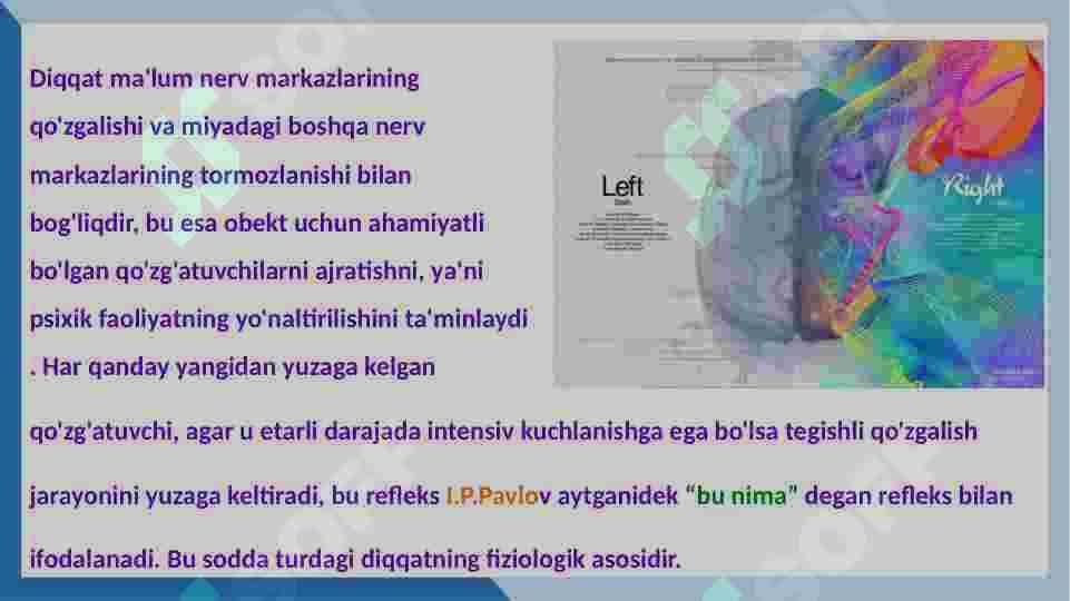Diqqat haqida umumiy ma'lumot 4