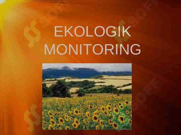 Ekologik monitoring
