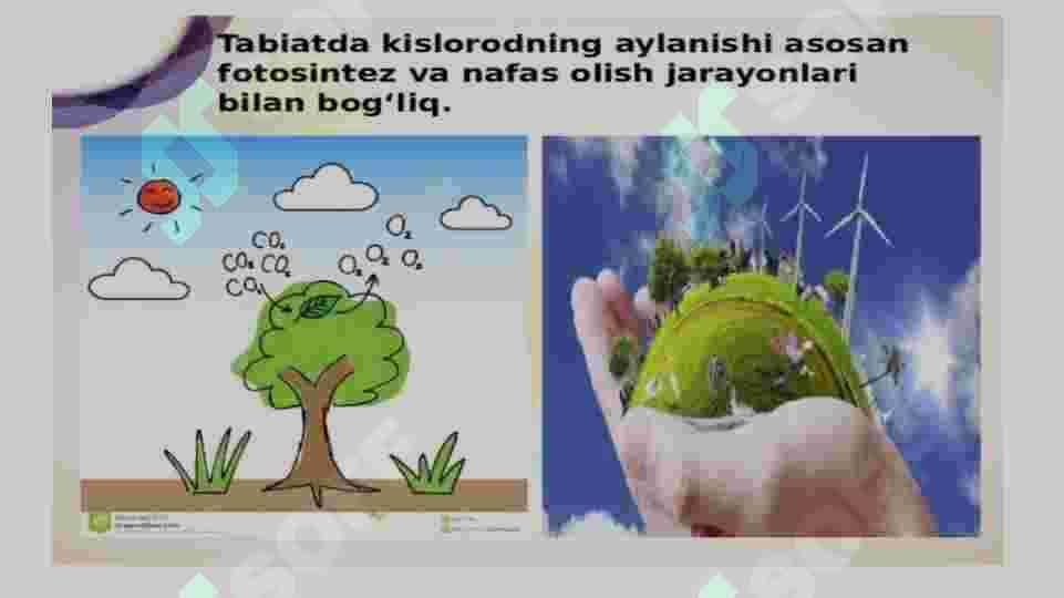 fotosintez mohiyati 3