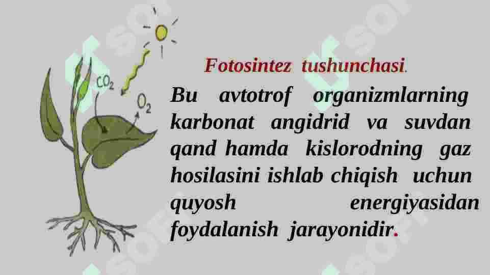 fotosintez mohiyati 4