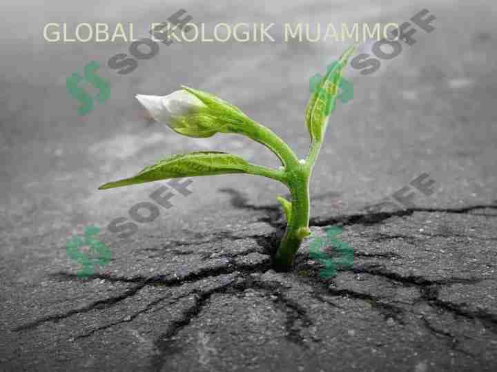 Global ekologik muammo.