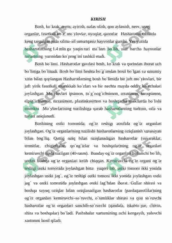Hashorotlar 2
