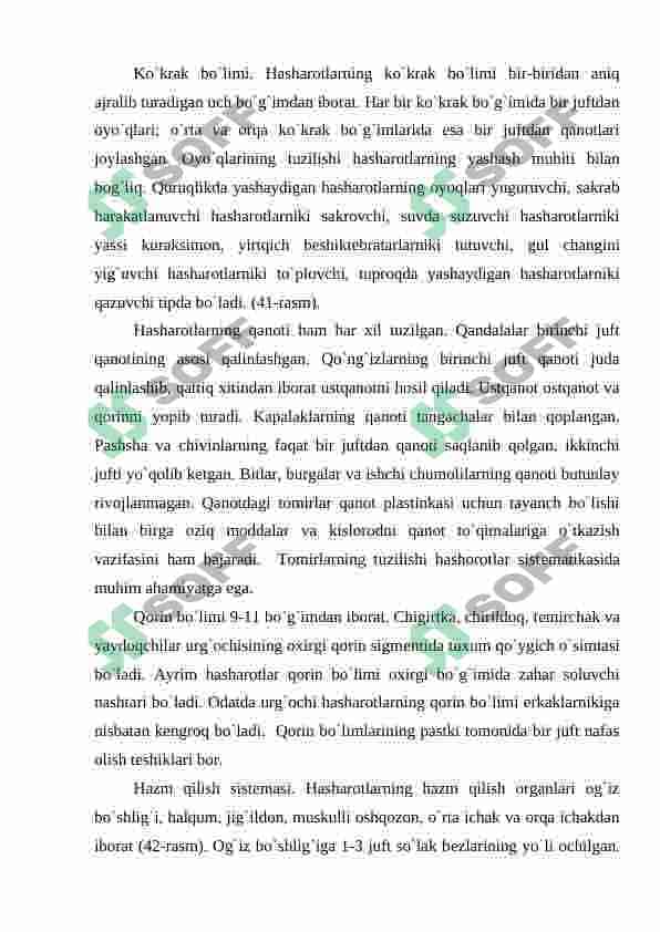Hashorotlar 3