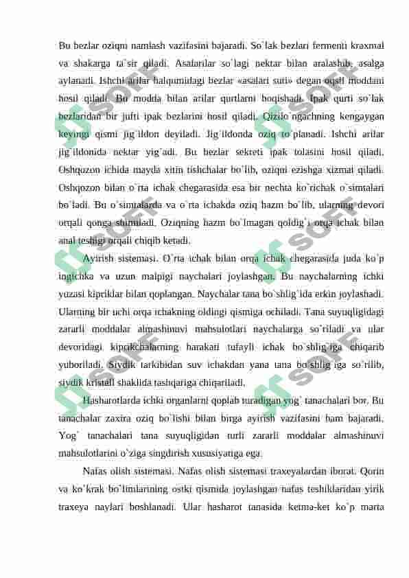 Hashorotlar 4