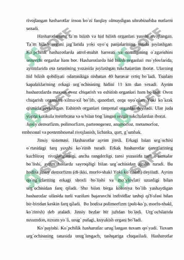 Hashorotlar 6