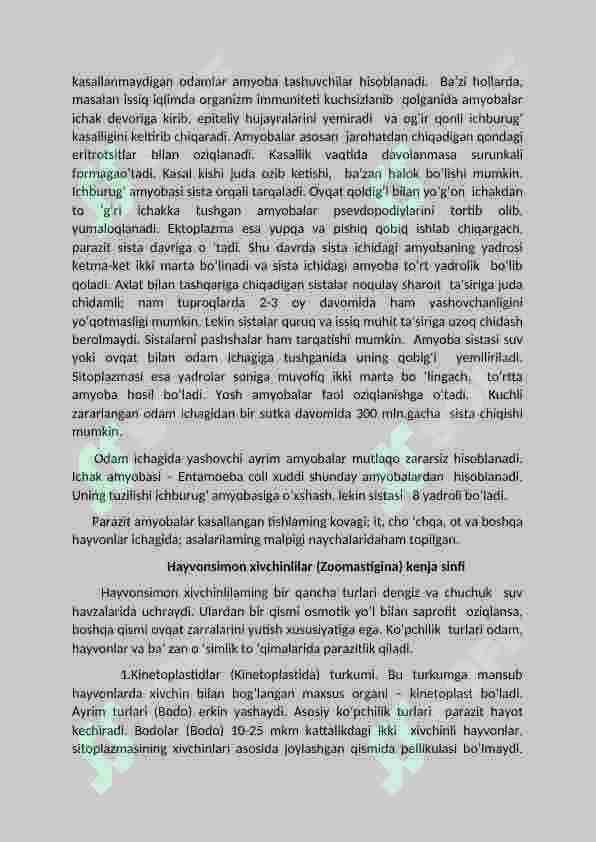 Bir hujayrali hayvonlar va ularning sinflari 5