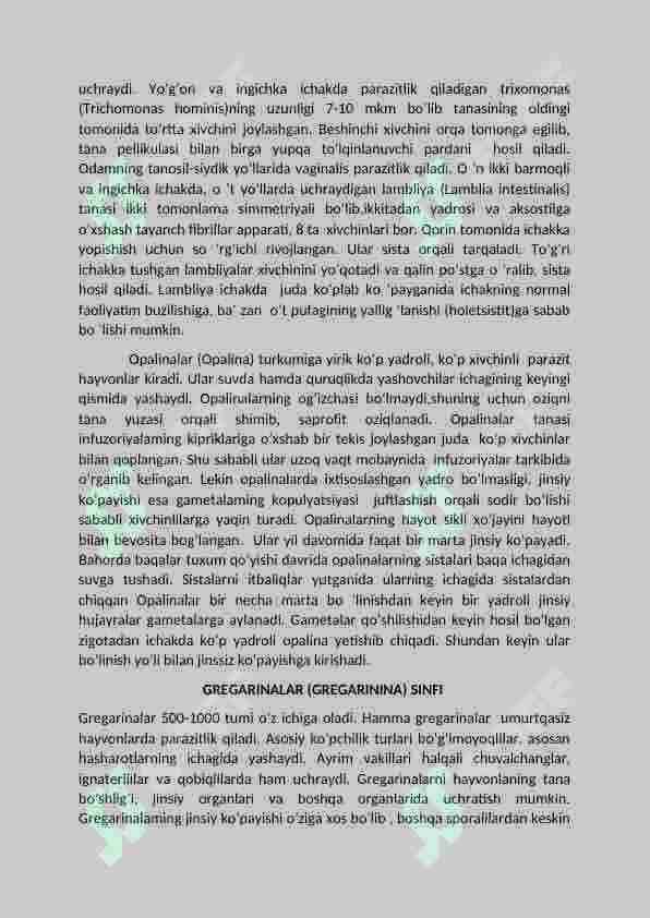 Bir hujayrali hayvonlar va ularning sinflari 8