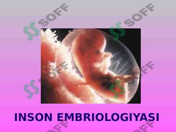 INSON EMBRIOLOGIYASI