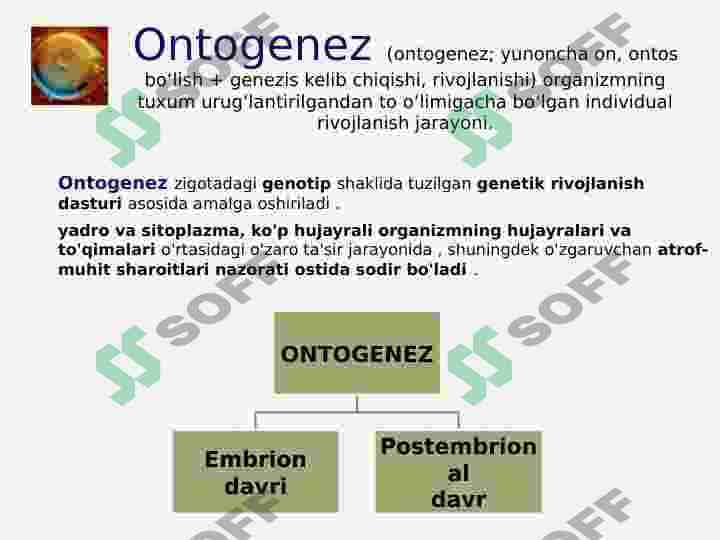INSON EMBRIOLOGIYASI 2