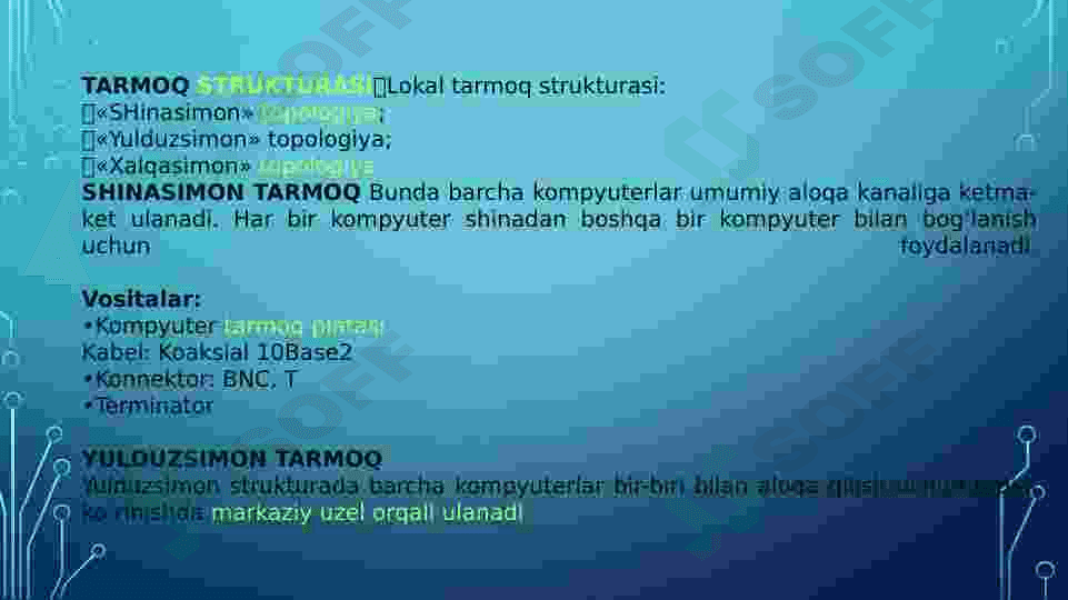 MINTAQAVIY TARMOQ TOPOLOGIYASI 3